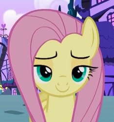 Size: 384x411 | Tagged: safe, screencap, fluttershy, pegasus, pony, flutter brutter, cropped, lidded eyes, solo