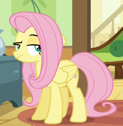 Size: 336x344 | Tagged: safe, screencap, fluttershy, pegasus, pony, flutter brutter, fluttershy is not amused, raised eyebrow, solo, unamused