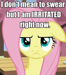 Size: 836x940 | Tagged: safe, edit, edited screencap, screencap, fluttershy, pegasus, pony, flutter brutter, 30 rock, >:c, caption, g rated profanity, image macro, irritated, kenneth parcell, meme, peeved, solo