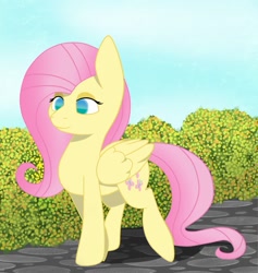 Size: 1227x1293 | Tagged: safe, artist:dybekscoots, fluttershy, pegasus, pony, female, mare, pink mane, solo, yellow coat