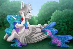 Size: 2560x1707 | Tagged: safe, princess celestia, oc, oc:light knight, alicorn, pony, canon x oc, female, lightestia, male, shipping, straight