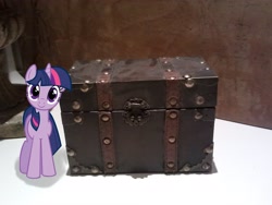 Size: 2592x1944 | Tagged: safe, artist:kittyhawk-contrail, artist:tokkazutara1164, derpibooru import, twilight sparkle, hugpony poses, irl, photo, ponies in real life, size comparison, solo, treasure chest, vector