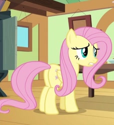 Size: 478x523 | Tagged: safe, screencap, fluttershy, pegasus, pony, flutter brutter, cropped, female, mare, plot