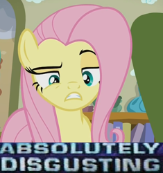 Size: 606x646 | Tagged: safe, edit, edited screencap, screencap, fluttershy, pegasus, pony, flutter brutter, absolutely disgusting, caption, disgusted, expand dong, exploitable meme, image macro, meme, reaction image, solo, text