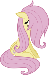 Size: 2899x4412 | Tagged: safe, artist:akakun, fluttershy, pegasus, pony, flutter brutter, simple background, transparent background, vector