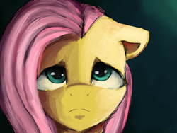 Size: 1024x768 | Tagged: safe, artist:lacayra, artist:minckies, fluttershy, pegasus, pony, bust, floppy ears, looking at you, looking up, portrait, sad, solo