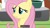 Size: 500x281 | Tagged: safe, screencap, fluttershy, pegasus, pony, meme, youtube caption