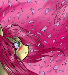 Size: 824x908 | Tagged: safe, artist:checkeredmarionette8, fluttershy, pegasus, pony, female, mare, petals, solo