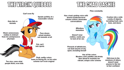 Size: 1920x1080 | Tagged: safe, artist:dwk, derpibooru import, quibble pants, rainbow dash, pegasus, pony, common ground, chad, meme, totally legit recap, virgin, virgin walk