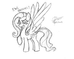 Size: 1936x1552 | Tagged: safe, artist:leadhooves, fluttershy, pegasus, pony, anti-brony, monochrome, mouthpiece, sketch, solo