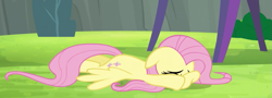 Size: 987x356 | Tagged: safe, screencap, fluttershy, pegasus, pony, rainbow falls, season 4, solo