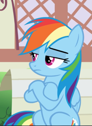 Size: 571x784 | Tagged: safe, derpibooru import, screencap, rainbow dash, pegasus, pony, daring done?, cropped, crossed hooves, female, mare, rainbow dash is not amused, sitting, solo, unamused