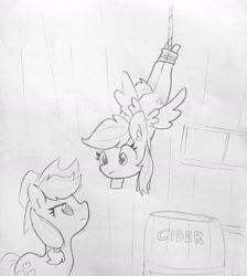 Size: 1260x1408 | Tagged: safe, artist:tjpones, derpibooru import, applejack, rainbow dash, earth pony, pegasus, pony, caught, caught red hooved, cider, cider theft, disappointed, duo, duo female, eye contact, female, hanging, looking at each other, mare, monochrome, rope, rope trap, thief, traditional art, trap (device)