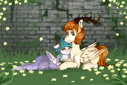 Size: 2560x1707 | Tagged: safe, princess celestia, oc, oc:king mirael, alicorn, pony, miraestia