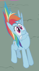 Size: 300x545 | Tagged: safe, derpibooru import, screencap, rainbow dash, pegasus, pony, dragonshy, animation error, cropped, female, flat, great moments in animation, mare, missing wing, rainbow dash is best facemaker, scared, solo