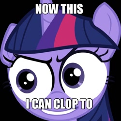 Size: 512x512 | Tagged: safe, derpibooru import, twilight sparkle, meme, solo, special eyes, text