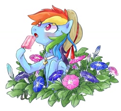 Size: 1221x1125 | Tagged: safe, artist:nota_mano, derpibooru import, rainbow dash, pegasus, pony, cute, dashabetes, flower, food, hoof hold, jewelry, necklace, open mouth, popsicle, solo