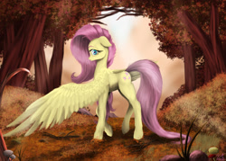 Size: 2634x1891 | Tagged: safe, artist:vinicius040598, fluttershy, pegasus, pony, autumn, forest, profile, solo, spread wings