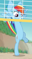 Size: 320x599 | Tagged: safe, derpibooru import, screencap, rainbow dash, pegasus, pony, cropped, cutie mark, equestria hills 90210