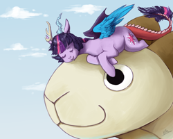 Size: 1000x800 | Tagged: safe, artist:xarakayx, derpibooru import, twilight sparkle, sheep, crossover, discord sparkle, draconequified, going merry, one piece, species swap, tddts, twikonequus