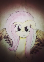 Size: 1557x2165 | Tagged: safe, artist:rainbowpegasusdash, fluttershy, pegasus, pony, dishevelled, looking at you, messy mane, raised eyebrow, solo, spread wings, traditional art