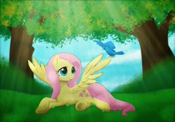 Size: 3436x2409 | Tagged: safe, artist:lilapudelpony, fluttershy, bird, pegasus, pony, grass, looking at something, looking up, lying down, solo, spread wings, tree