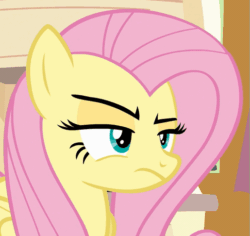 Size: 515x486 | Tagged: safe, screencap, fluttershy, pegasus, pony, flutter brutter, animated, fluttershy is not amused, solo