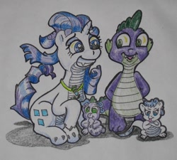 Size: 1009x908 | Tagged: safe, artist:hillbe, rarity, spike, oc, dracony, dragon, hybrid, dragonified, female, foal, full body, interspecies offspring, male, offspring, parent:rarity, parent:spike, parents:sparity, shipping, sitting, sparity, species swap, standing, straight, traditional art