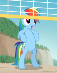 Size: 289x369 | Tagged: safe, derpibooru import, screencap, rainbow dash, pegasus, pony, bipedal, cropped, equestria hills 90210, female, hooves on hips, mare, open mouth, smiling, solo, volleyball net