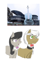 Size: 700x900 | Tagged: safe, artist:narbevoguel, frederic horseshoepin, octavia melody, earth pony, pony, drool, musical house, photo