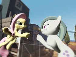 Size: 1024x768 | Tagged: safe, artist:soad24k, fluttershy, marble pie, pegasus, pony, 3d, fight, gmod