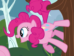 Size: 771x591 | Tagged: safe, screencap, pinkie pie, pony, it ain't easy being breezies, season 4, pinkie being pinkie, prehensile tail, tree