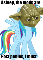 Size: 1392x1932 | Tagged: safe, derpibooru import, edit, rainbow dash, pegasus, pony, caption, image macro, lego, lego yoda, meme, mods are asleep, mods are asleep post ponies, solo, star wars, text, yoda