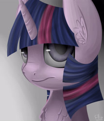 Size: 4700x5500 | Tagged: safe, artist:ellipsissyas, derpibooru import, twilight sparkle, absurd resolution, solo