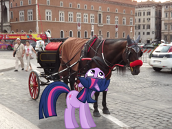 Size: 4288x3216 | Tagged: safe, artist:byteslice, artist:missbeigepony, derpibooru import, edit, twilight sparkle, unicorn twilight, horse, human, unicorn, blinders, bridle, building, bus, car, carriage, double decker bus, horse-pony interaction, irl, irl horse, photo, ponies in real life, rome, solo, tack, wagon