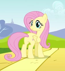 Size: 396x434 | Tagged: safe, screencap, fluttershy, pegasus, pony, hurricane fluttershy, cropped, female, mare, plot