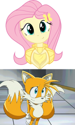 Size: 853x1431 | Tagged: safe, artist:oathkeeper21, edit, fluttershy, equestria girls, crossover, crossover shipping, fluttertails, miles "tails" prower, shipping, sonic the hedgehog (series), vector, vector edit