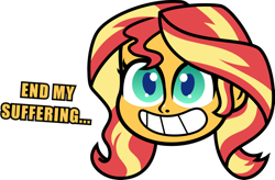 Size: 1024x672 | Tagged: safe, artist:kingdark0001, sunset shimmer, equestria girls, my little pony: pony life, disembodied head, floating head, simple background, smiling, solo, text, white background