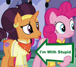 Size: 941x823 | Tagged: safe, edit, edited screencap, screencap, pinkie pie, saffron masala, earth pony, pony, spice up your life, i'm with stupid, meme, pinkie pie's sign