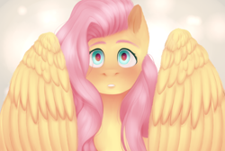 Size: 2560x1722 | Tagged: safe, artist:0sweetcoconut0, fluttershy, pegasus, pony, blushing, looking at you, open mouth, solo, spread wings, surprised