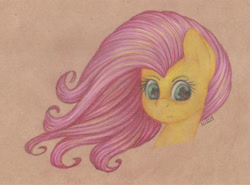 Size: 2326x1719 | Tagged: safe, artist:lilclim, fluttershy, pegasus, pony, bust, looking at you, portrait, solo, traditional art, windswept mane