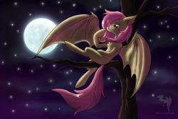 Size: 1280x858 | Tagged: safe, artist:ravenarkk, fluttershy, bat pony, pony, flutterbat, moon, night, race swap, sitting, solo, spread wings, tree