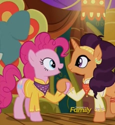 Size: 588x638 | Tagged: safe, screencap, pinkie pie, saffron masala, pony, spice up your life, cropped, discovery family logo