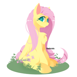 Size: 1120x1120 | Tagged: safe, artist:snow angel, fluttershy, pegasus, pony, chest fluff, cute, digital art, ear fluff, fluffy, folded wings, lineless, looking at you, pixiv, shyabetes, simple background, sitting, solo, transparent background