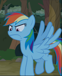 Size: 761x943 | Tagged: safe, derpibooru import, screencap, rainbow dash, pegasus, pony, between dark and dawn, angry, cropped, female, flying, mare, solo, spread wings, wings