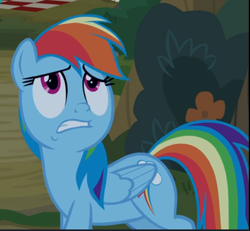 Size: 639x590 | Tagged: safe, derpibooru import, screencap, rainbow dash, pegasus, pony, between dark and dawn, cropped, female, folded wings, frown, looking at someone, looking up, mare, multicolored mane, multicolored tail, nervous, solo, uncomfortable