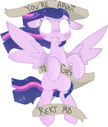 Size: 2951x3479 | Tagged: safe, artist:meowing-ghost, derpibooru import, twilight sparkle, twilight sparkle (alicorn), alicorn, pony, female, floating, floppy ears, frown, glowing eyes, looking at you, m8, mare, old banner, rekt, simple background, solo, spread wings, super saiyan princess, this will end in tears, threat, white background