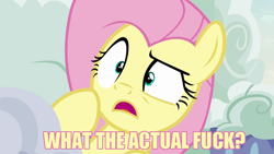 Size: 640x360 | Tagged: safe, artist:fluttershysone, fluttershy, pegasus, pony, flutter brutter, meme, vulgar