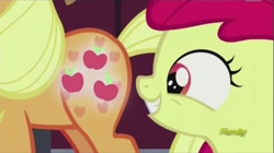 Size: 1040x582 | Tagged: safe, screencap, apple bloom, applejack, earth pony, pony, brotherhooves social, booty call, eyes on the prize, female, filly, glowing cutie mark, out of context