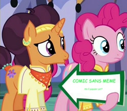 Size: 941x823 | Tagged: safe, edit, edited screencap, screencap, pinkie pie, saffron masala, earth pony, pony, spice up your life, comic sans, exploitable meme, meme, pinkie pie's sign